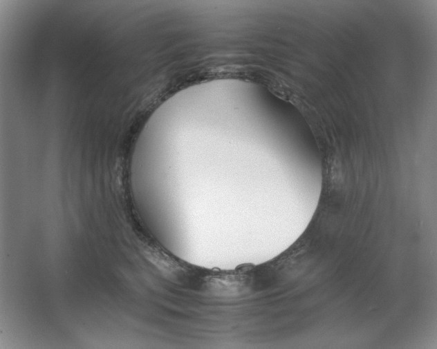 X0000064730567200603031644