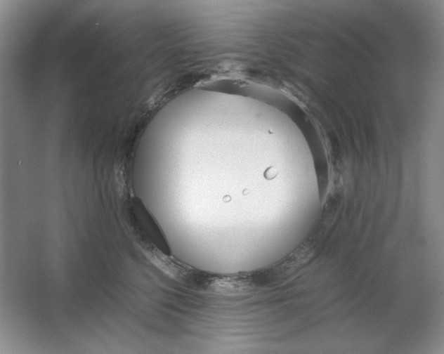 X0000064730568200603031644