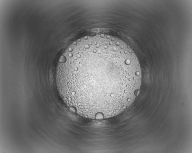 X0000064730569200603031644