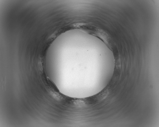 X0000064730572200603031645