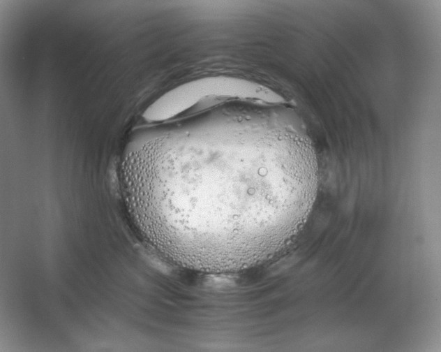 X0000064730573200603031645