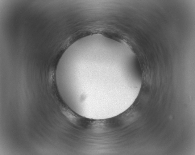 X0000064730574200603031645