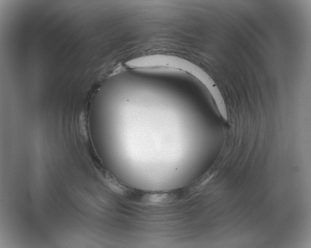 X0000064730575200603031645