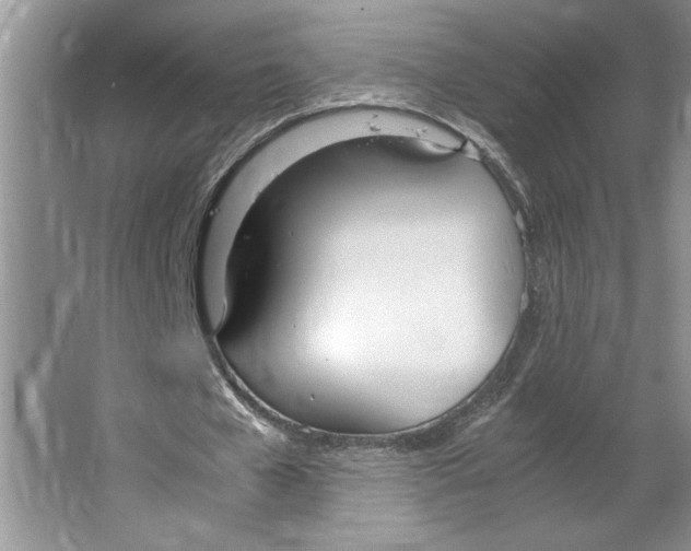 X0000064730577200603031644