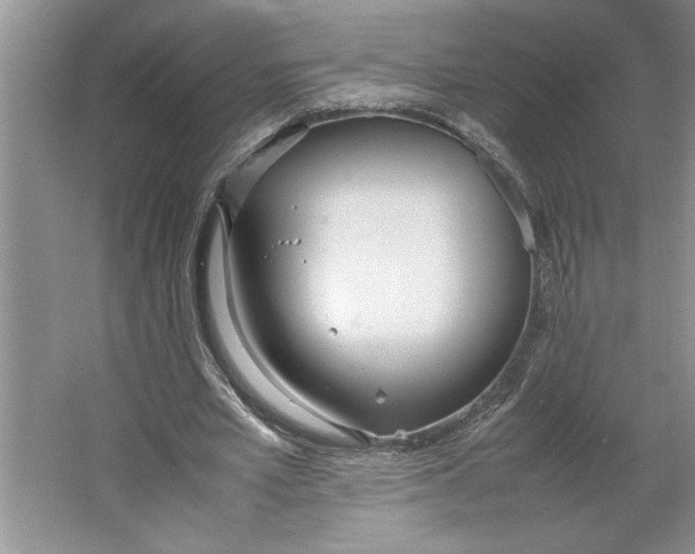 X0000064730581200603031644