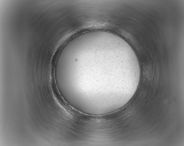 X0000064730582200603031644