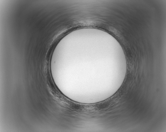 X0000064730583200603031644