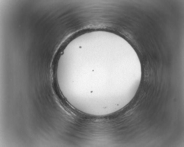 X0000064730584200603031644