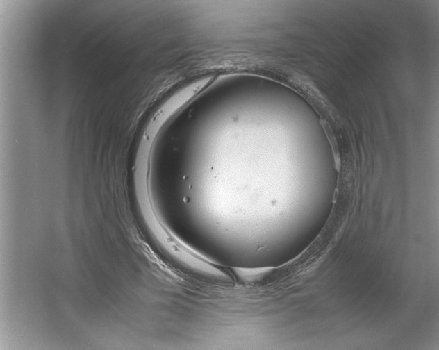 X0000064730585200603031644