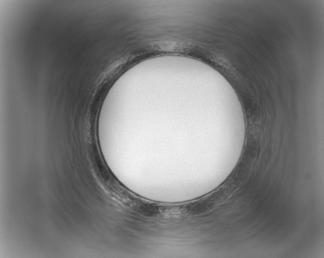 X0000064730587200603031644