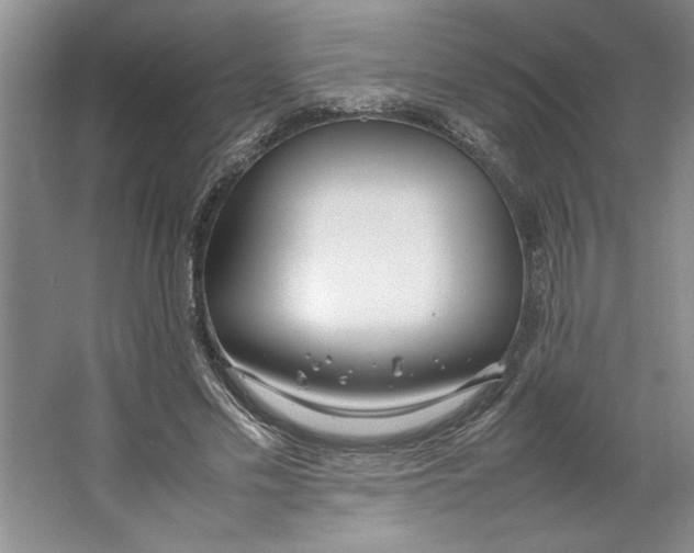 X0000064730589200603031644