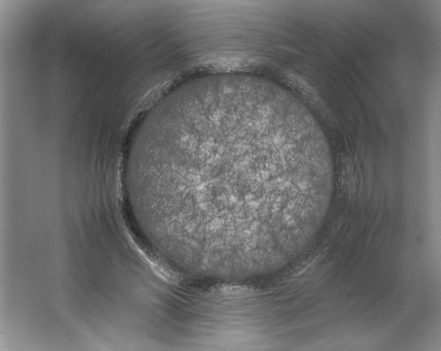 X0000064730590200603031644