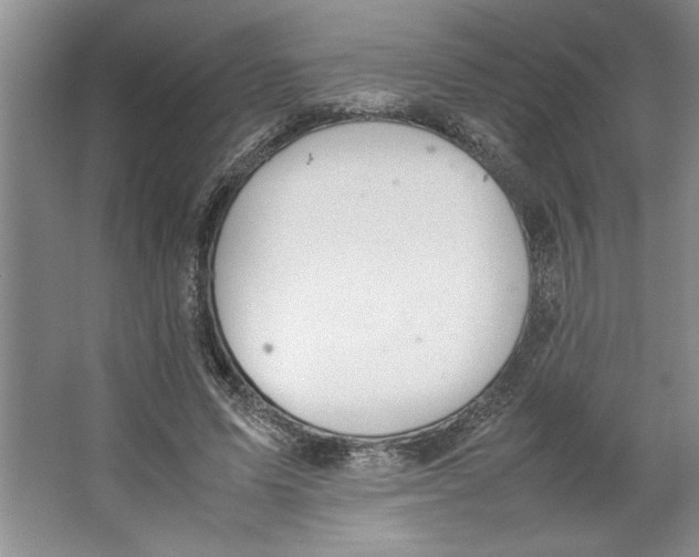 X0000064730591200603031644