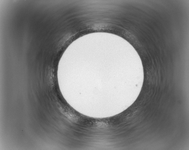 X0000064730592200603031644