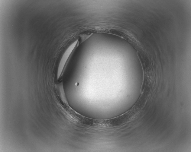 X0000064730593200603031644