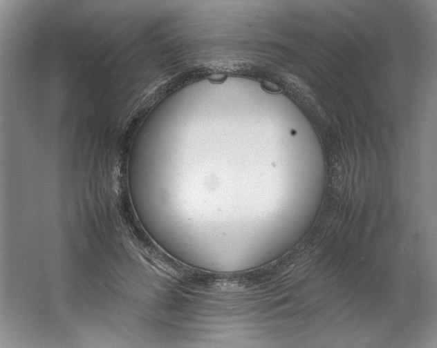 X0000064730596200603031643