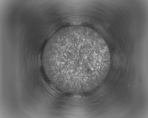 X0000064730598200603031643