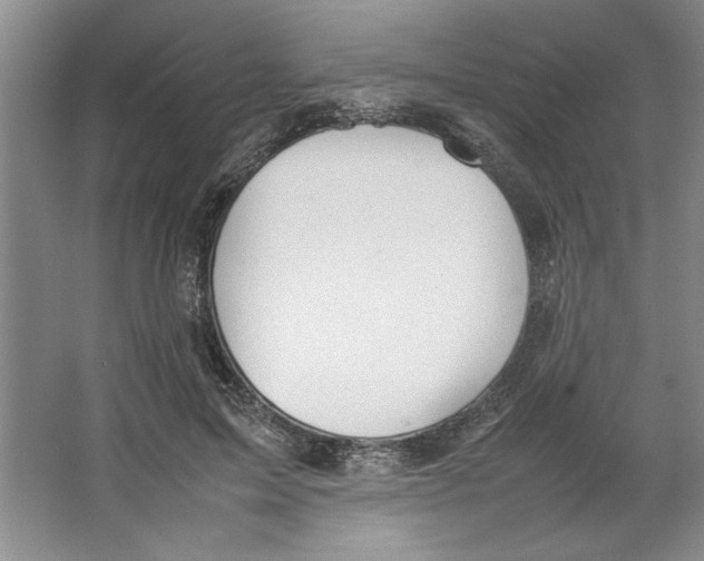 X0000064730599200603031643