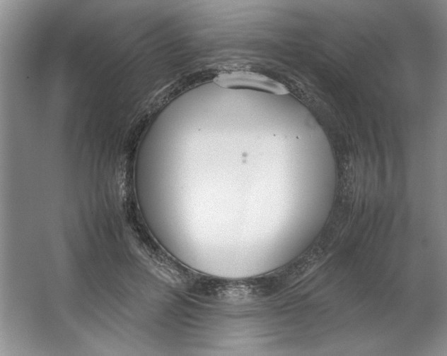 X0000064730600200603031643