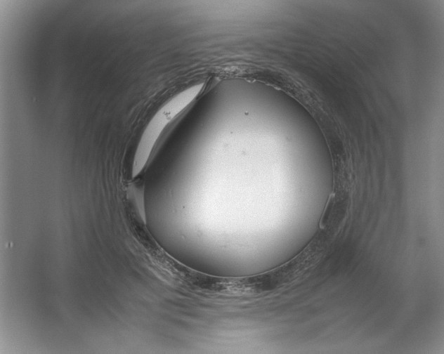 X0000064730601200603031643