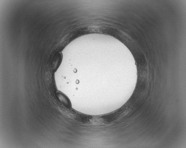 X0000064730603200603031643