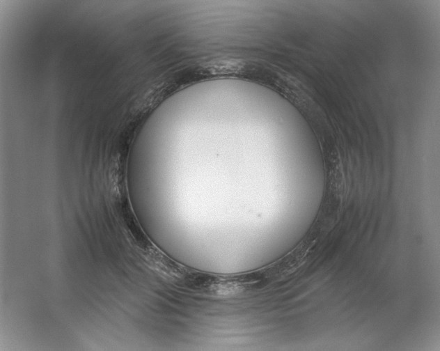 X0000064730604200603031643