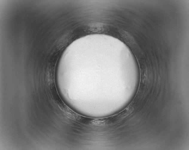 X0000064730606200603031643