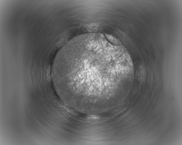 X0000064730610200603031643