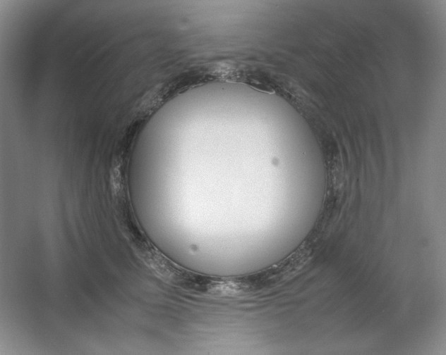 X0000064730611200603031643