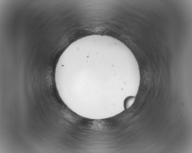 X0000064730612200603031643