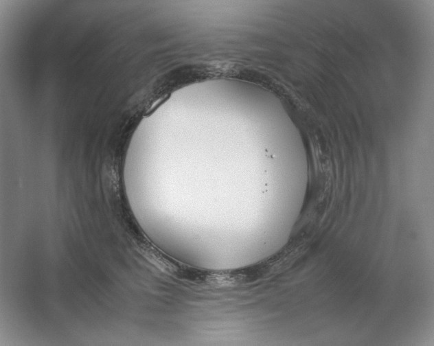 X0000064730613200603031643