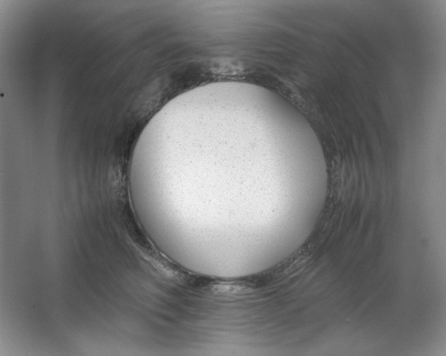 X0000064730614200603031643