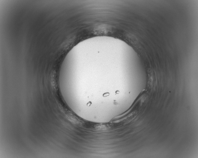 X0000064730616200603031643