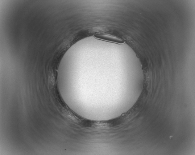 X0000064730617200603031643