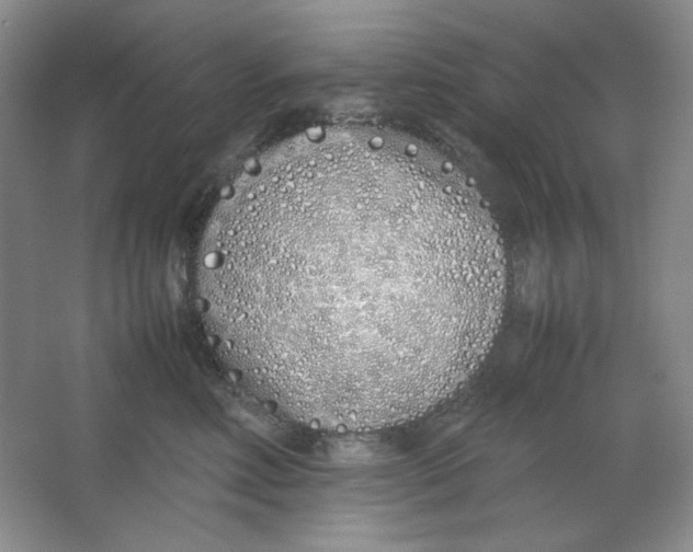 X0000064730618200603031643