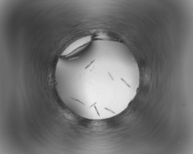 X0000064730619200603031643