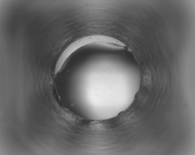 X0000064730620200603031643