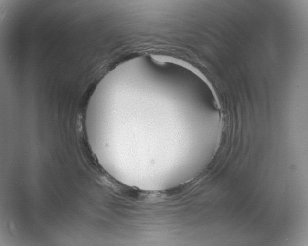 X0000064730621200603031643