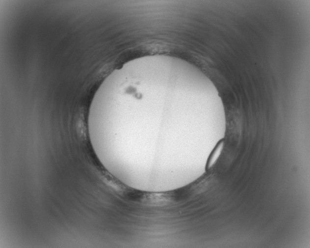 X0000064730622200603031643