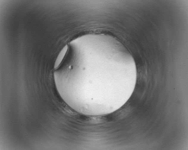 X0000064730623200603031643