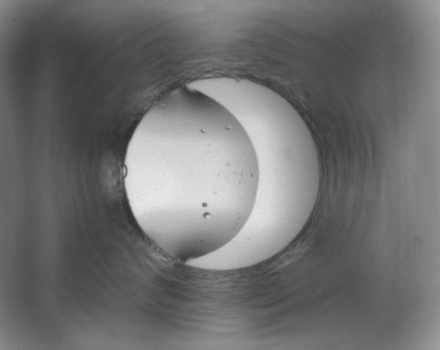 X0000064730624200603031643