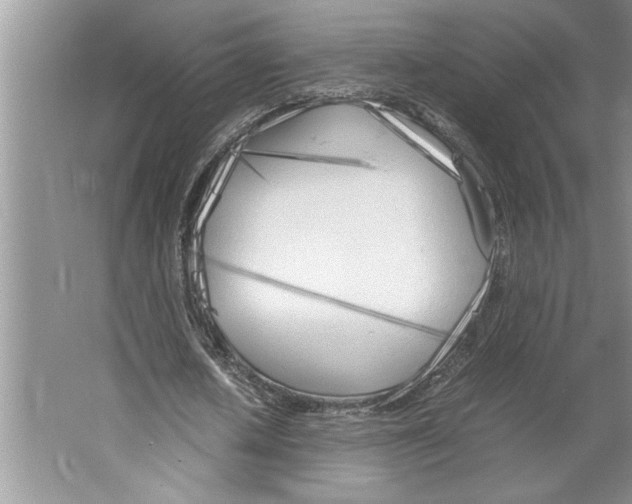 X0000064730626200603031642