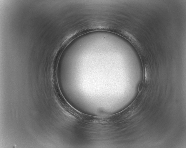 X0000064730627200603031642