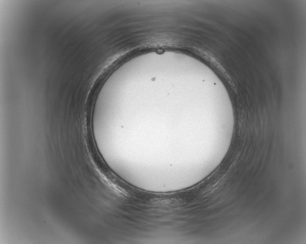 X0000064730629200603031642