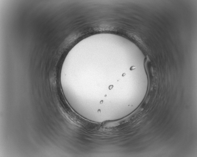 X0000064730631200603031642