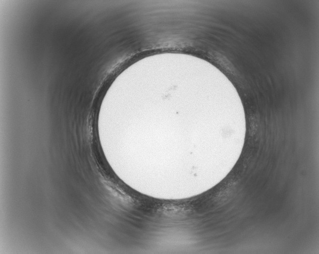 X0000064730632200603031642