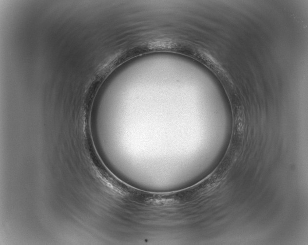 X0000064730637200603031642