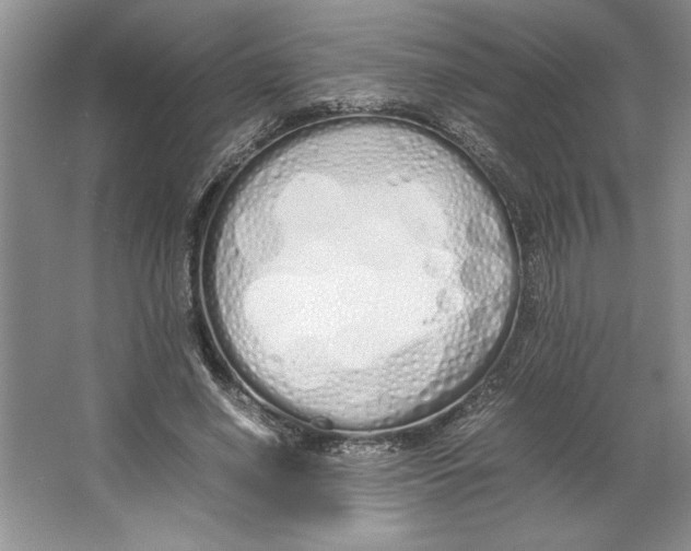 X0000064730638200603031642