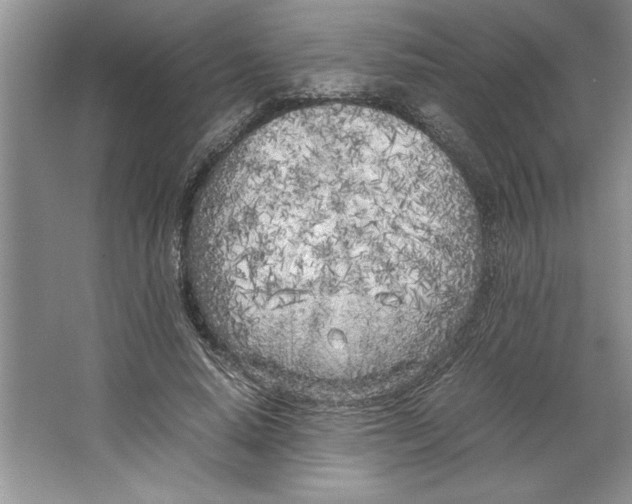 X0000064730640200603031642