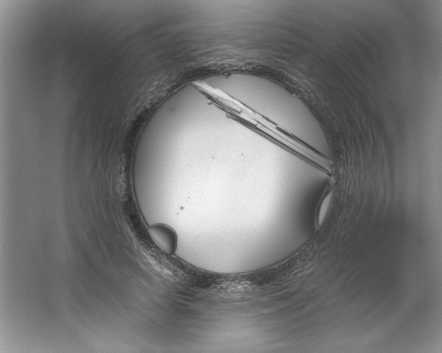 X0000064730642200603031642